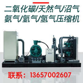二氧化碳/天然气/沼气/氨气/氩气/氢气压缩机增压机中高压充瓶泵