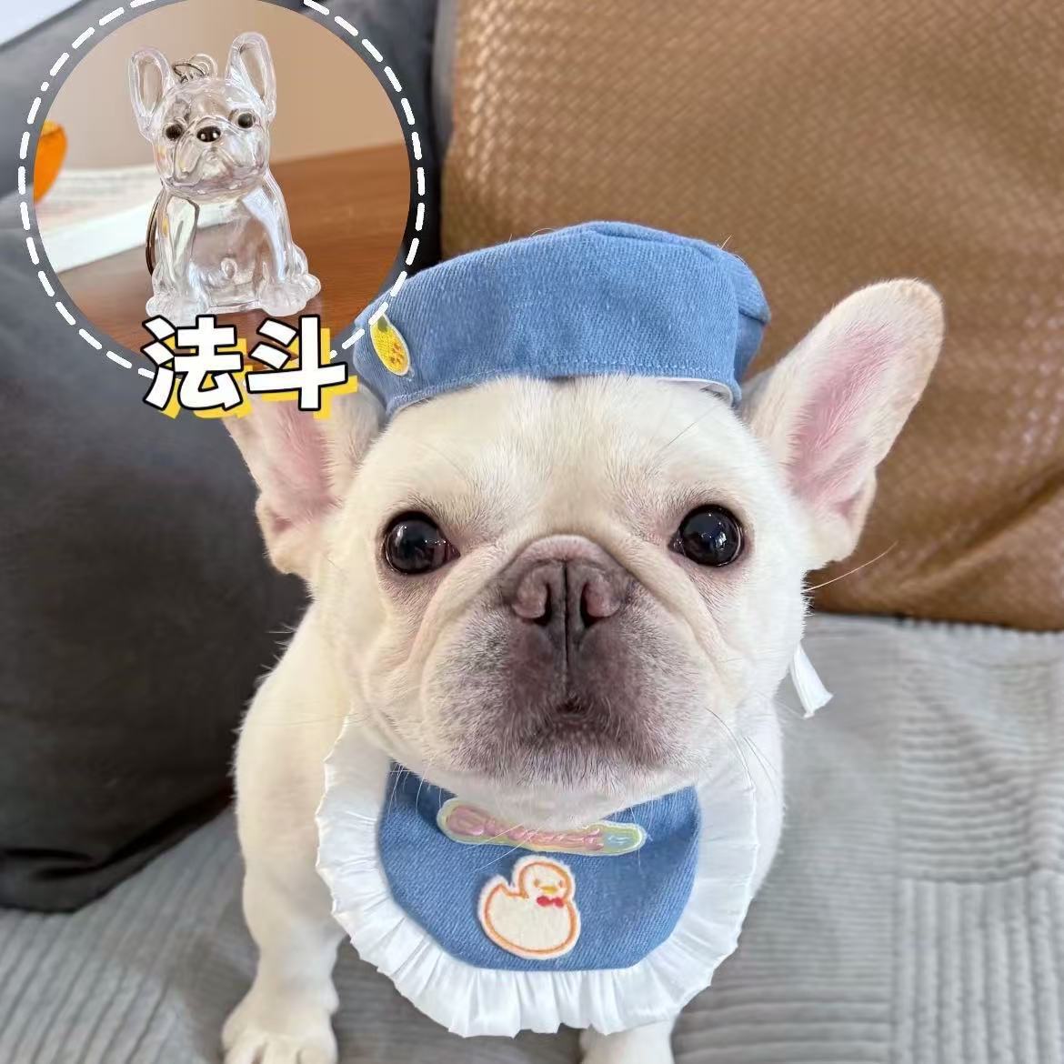 Perlo de mascota conmemorativo llavero colgante lindo perro colección de pelo transparente de perro grande forma de llave creativa