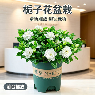�d�ӻ������ļ��_����ֲ���҃ȾGֲ���B�׻�����ľ�m�ϑ�������