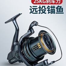 DG�ĳ��ִ���ԶͶ��ȫ�����޼�϶10000ê����ê�˻���������