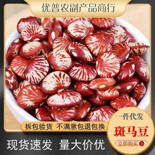 ���R�����l �I�� �������r�Һɰ������˶���t���tܿ����ܿ��