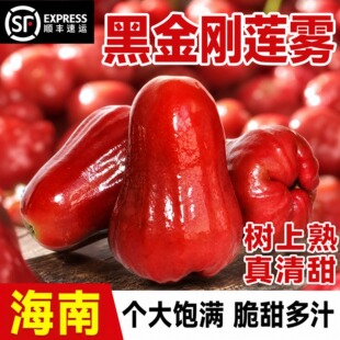 ���Ϻڽ���ɏ�F������ ����M�����֭��S�����̳�һ�����l