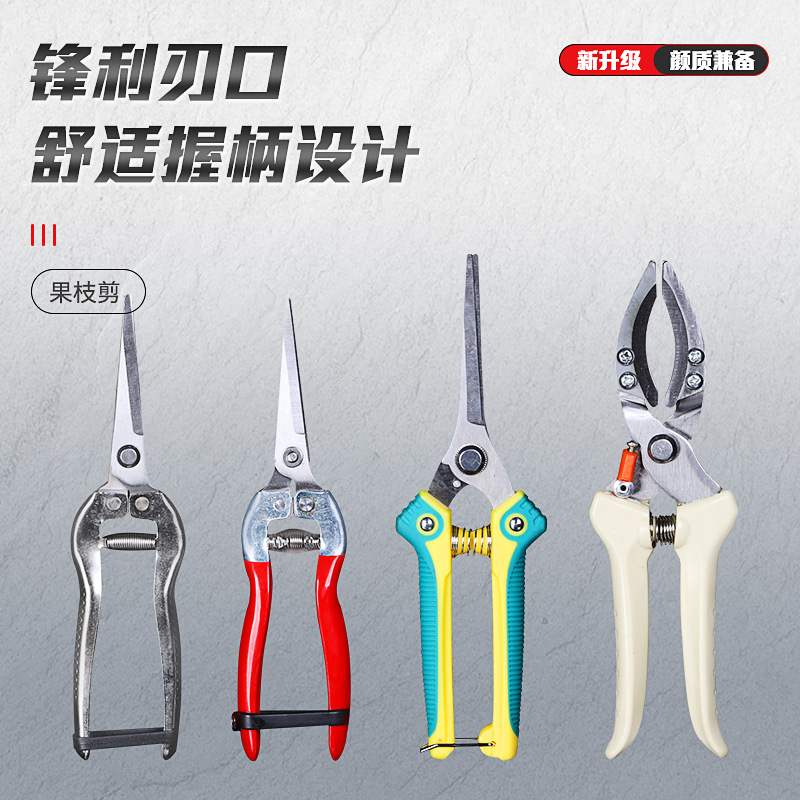 厂家批发果枝剪园林果树专用剪刀修盆栽树枝多功能摘果剪刀工具