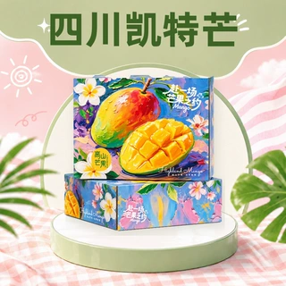 四川凯特芒凯特芒果 节日礼品团购礼盒送礼年货商务福利企业手提