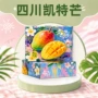 四川手提福利节日礼盒