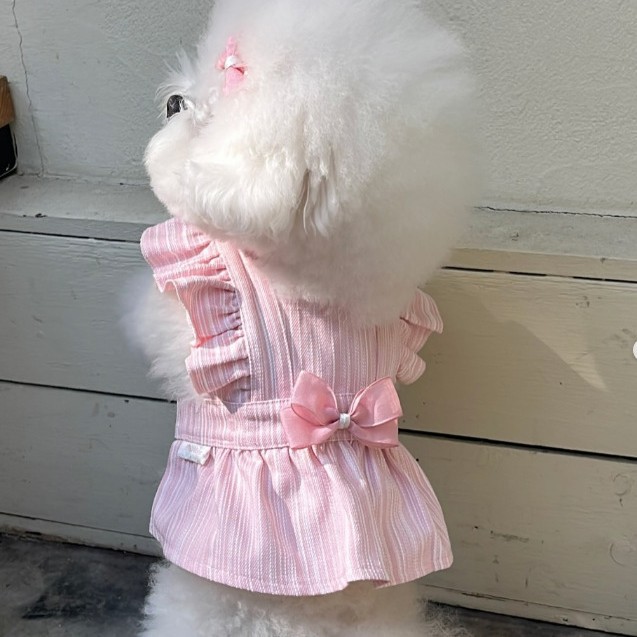 Vêtements d'été légers pour chiens, style princesse Hepburn, pour Teddy, Bichon, chiens de petite et moyenne taille et chats_voghion.com