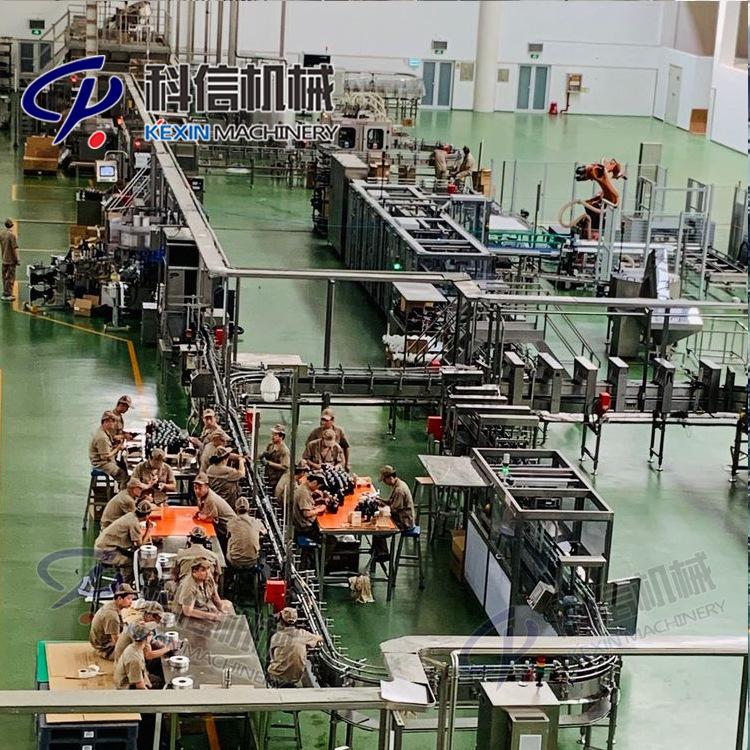 整套青梅酒生产设备 全自动青梅酒灌装生产机械设备厂家