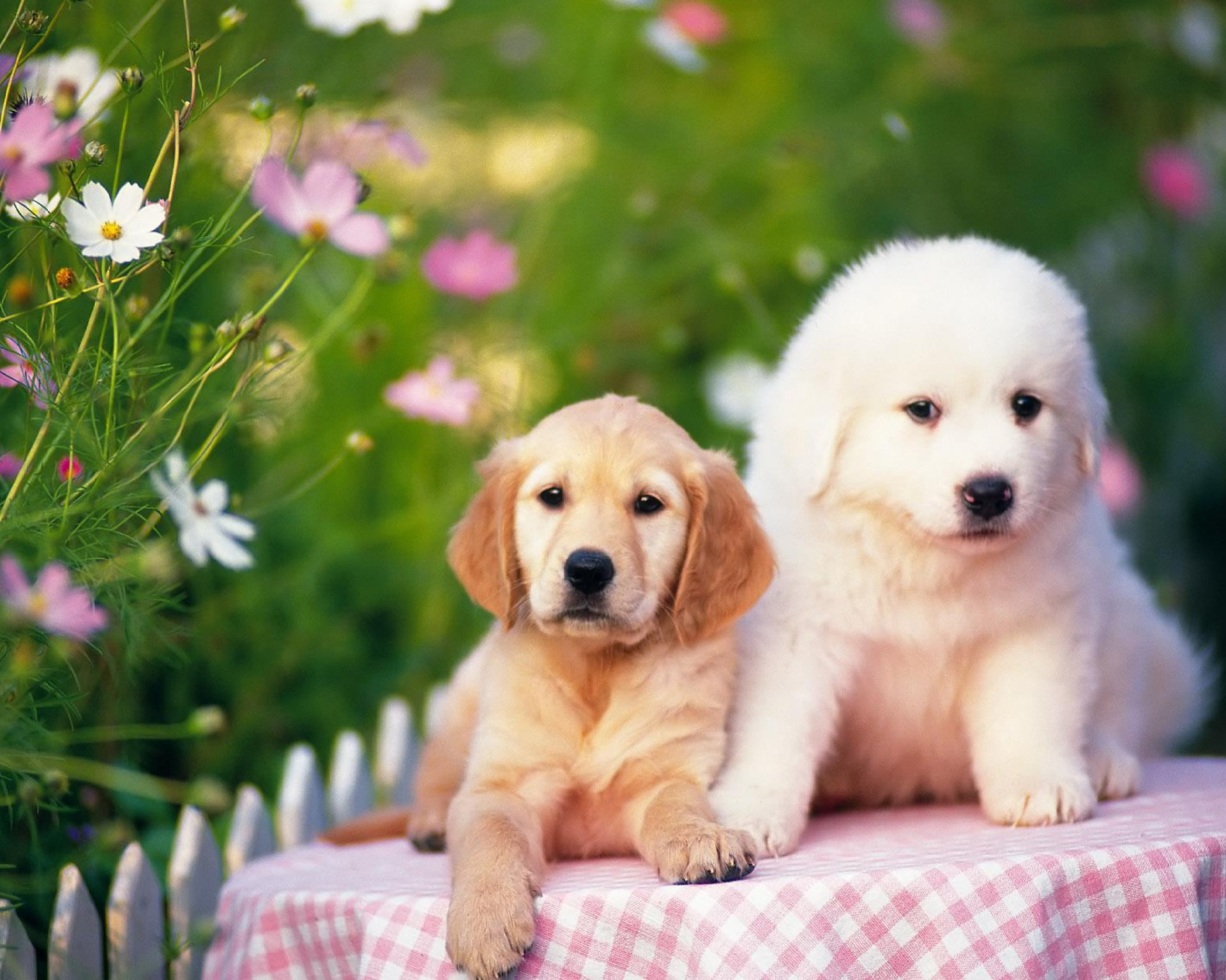 Cross-border 5d Amazon diamante pintura pegatinas hecho a mano DIY animal ladrillo pintura sala de estar pintura decorativa pegatinas al por mayor