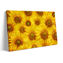 装饰画向日葵花海感恩节太阳花风景横版客厅餐厅挂画跨境无框画
