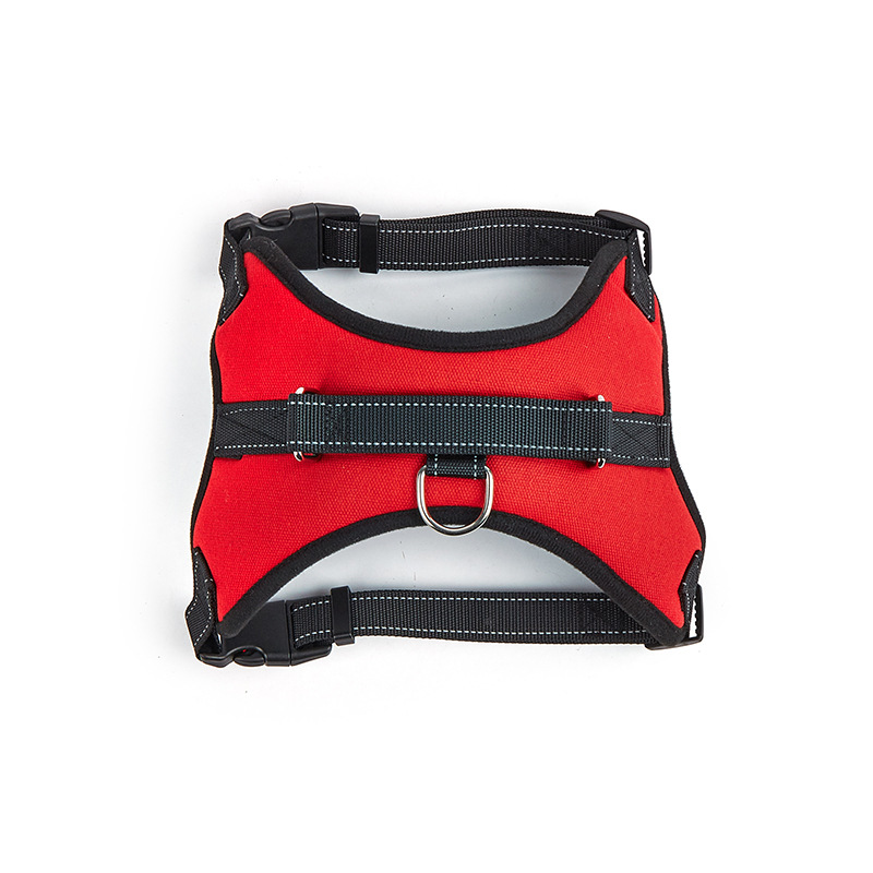 빨간 안장 스타일의 가슴과 등