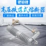 跌落式定制高压柱上熔断器