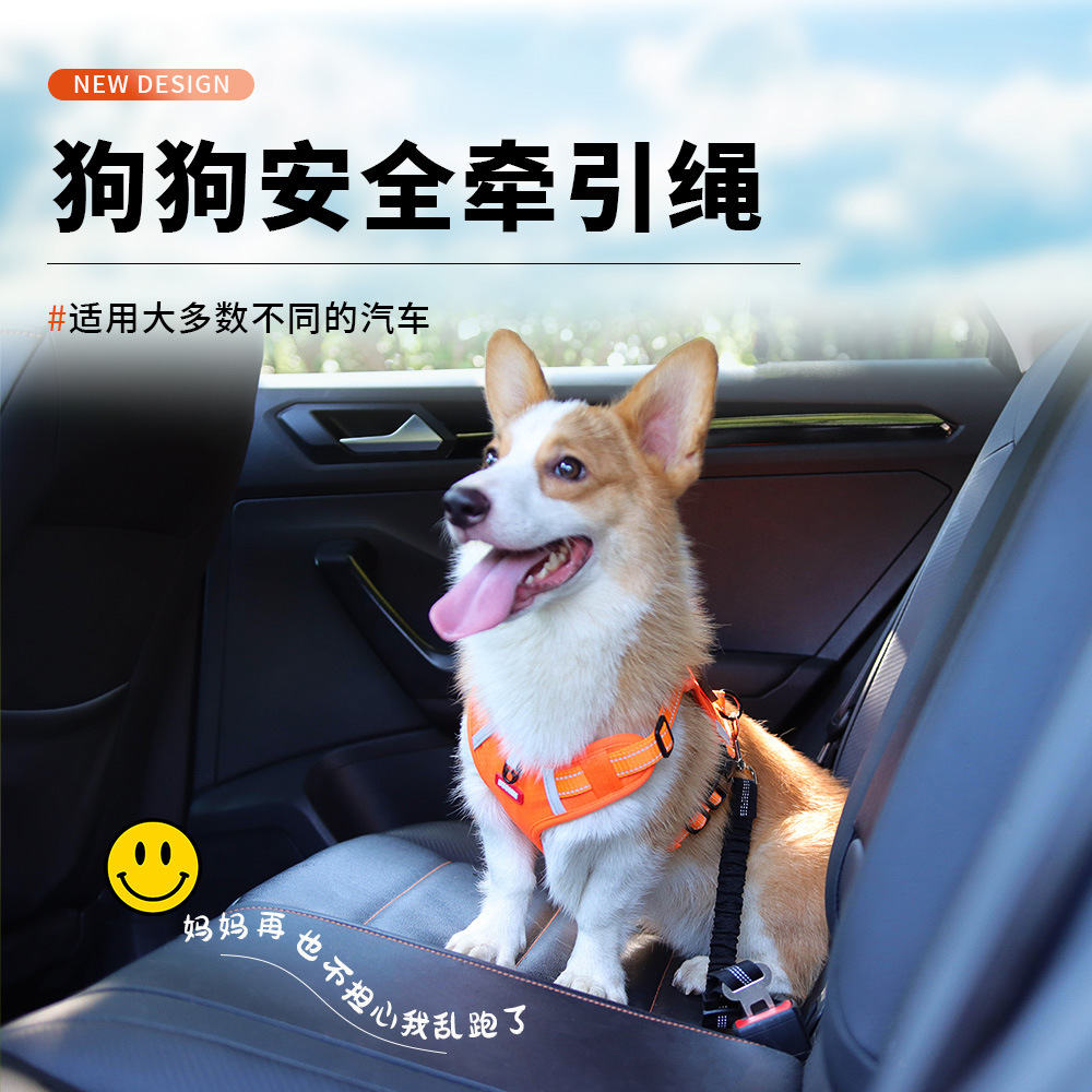 Cuerdas de tracción de automóviles para mascotas explosivas transfronterizas, cuerda de seguridad para perros, cuerda de seguridad ajustable para perros, cuerda de tracción para perros
