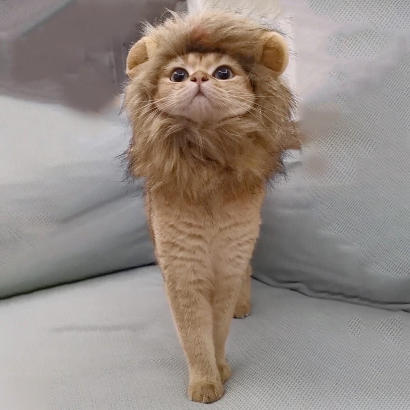 Polyester Material Rabbit, Animal, Lion, Cat Pattern 1 Piece All Seasons Cartoon Style Cute Funny Polyester Rabbit Animal Lion Pet Hat