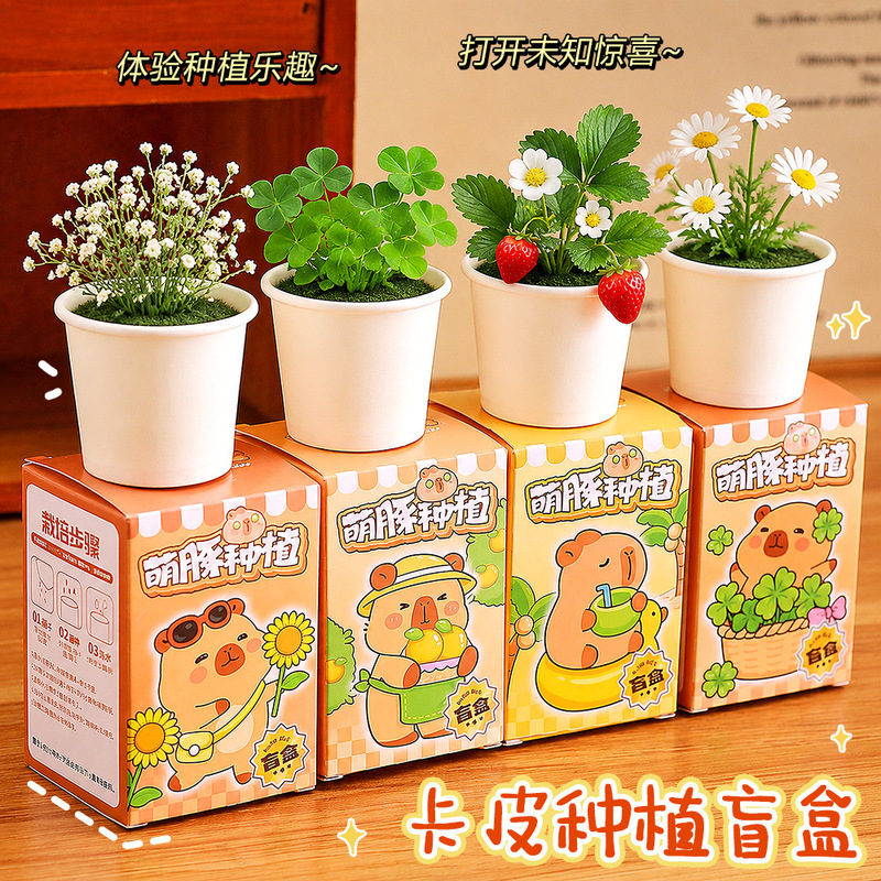 Creative DIY Desktop Planting Blind Box Nutrient Soil Seed Set for Children's Plant Growing Fun Small Potted Plants Wholesale