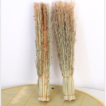 Los fabricantes de origen tienen una gran cantidad de plántulas de sorgo blanco del noreste, cepillos de arroz, cepillos de limpieza doméstica, ollas de sorgo diarias