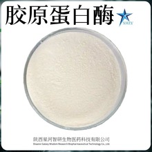 zԭø ~ƤţƤӹ ø zԭˮF؛]