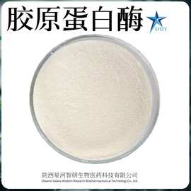 胶原蛋白酶 鱼皮牛皮加工 生物酶 胶原蛋白水解现货包邮