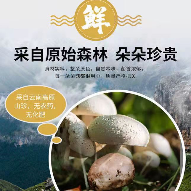 微信图片_20220302181035