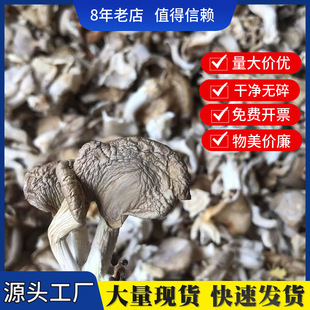 �a��ֱ����؛ƽ����؛ɢ�b���l�U�~���漧���Pβ�����������ϰ�