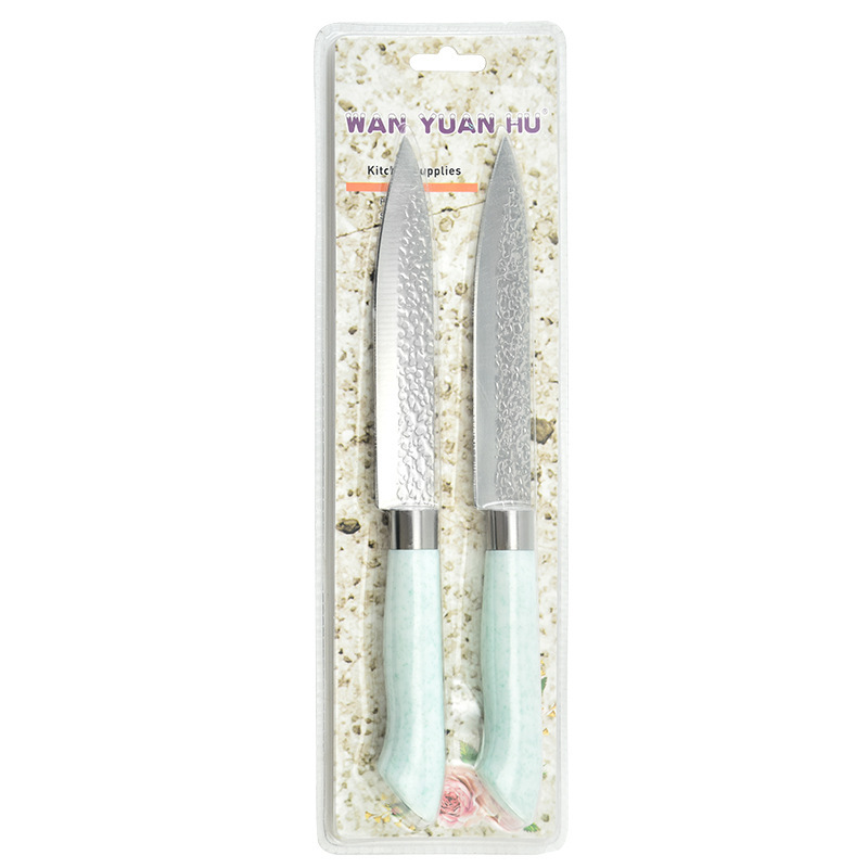 Fábrica al por mayor forja espejo ligero multiusos cuchillo de fruta de dos piezas mango de plástico de color cuchillo de pelar tarjeta de succión embalaje
