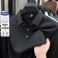 一件代发含桑蚕丝男士翻领长袖T恤衫男式秋季纯色宽松男t恤高级感