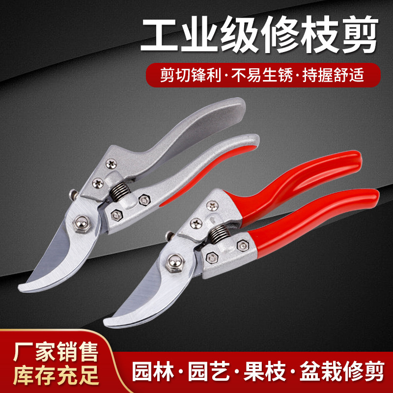 山东工厂直发园林果枝剪SK-5五金工具果树剪子V型园艺修枝剪刀