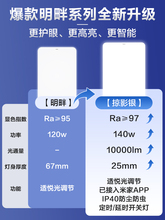 ?����ȫ���Vled�o�ۿ͏d��픟����ҬF�����s������ȫ��2025��