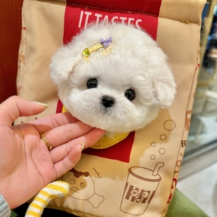 ���N������ȮС�w����Ȯ�L���w���豭ȮС��Ȯ���w���B���ﹷ��
