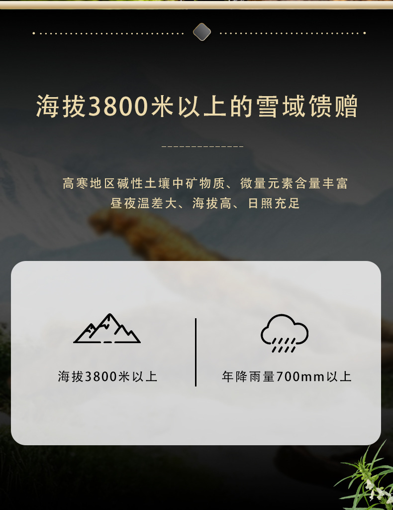 Premium Cordyceps Sinensis Gift Box Dried Tibetan Cordyceps for Traditional Herbal Soup overview