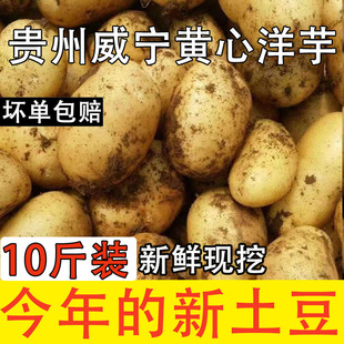 �F���خa�����S�����������������r��ɽ��Ʒ�N�SƤ�R���ʮ���b