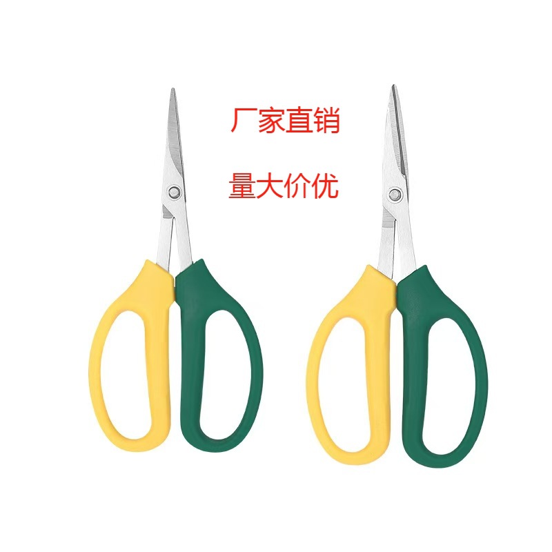 园林工具果树采摘葡萄摘果剪不锈钢园艺稀果剪刀翘头园艺剪现货