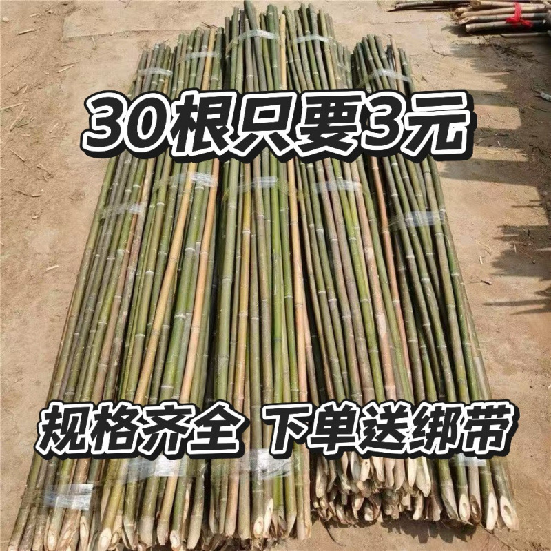 Bamboo Pole Vegetable Garden Frame for Vegetables, Cucumbers, Tomatoes, and Beans; Bamboo Fence, Small Bamboo, Thin Bamboo Poles, Climbing Trellis