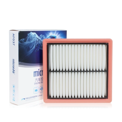 Freudenberg Air Filter Element Automobile filter element