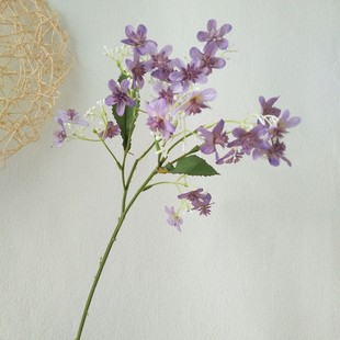 ���滨ҹ�����r��Ұ�� �͏d�[�� �����L�Ҿӻ�c�ػ��������h�仨