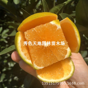 ���l����������\���\�t���ǳ������ڼ޽������֭��o�˽Y����