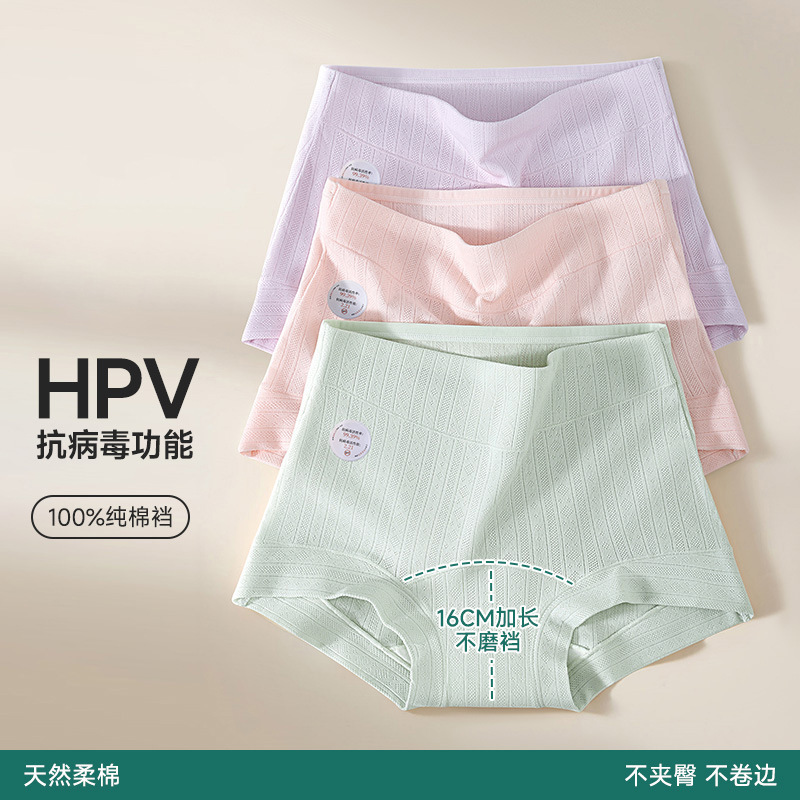 10A小平角内裤女纯棉抑菌加长裆高腰微收腹透气大码女士内裤批发|undefined