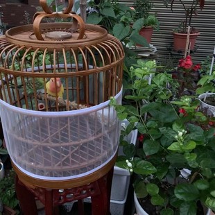 Bird cage mesh gauze cover transparent anti-base mesh cover anti-flying feather mesh clothes bird cage cleaning encryption heightening simple short