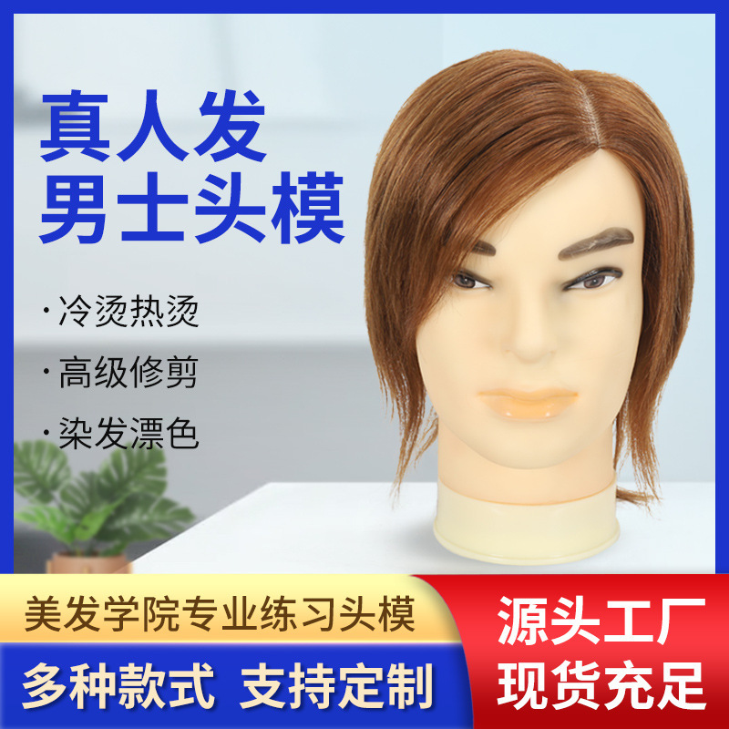 頭の形の美髪の男性のモデルの頭はパーマをかけることができます。|undefined
