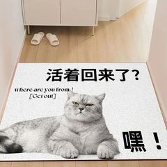 お笑い創意ペットが家に入るじゅうたんが生きて帰ってきたら、家庭の入り口に入る滑り止めのドアマットを敷くことができる