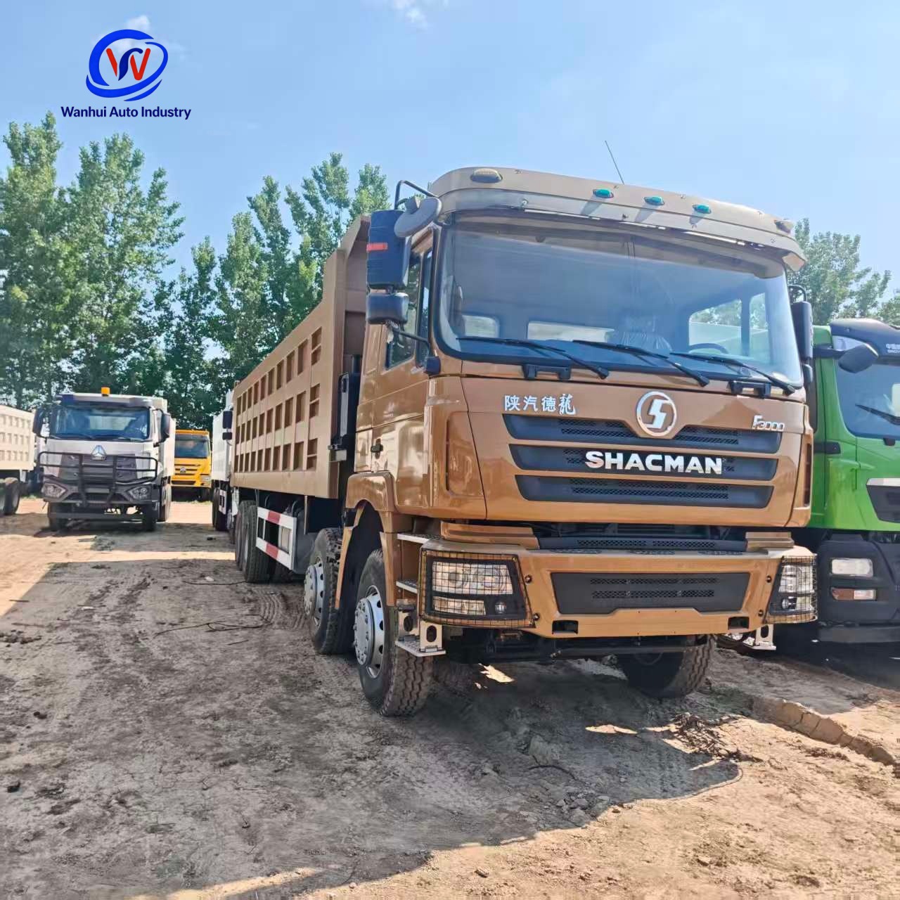 Shaanxi Automobile Delong F3000 Rear Eight-Wheel Dump Truck 6×4 Drive Weichai 380 Horsepower Engineering Dump Truck Africa
