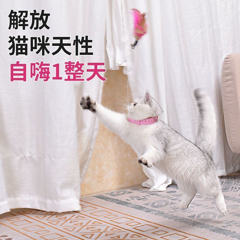 头戴式逗猫棒猫咪玩具自嗨解闷套头猫咪脖子逗猫棒猫项圈发声铃铛|undefined