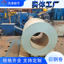 天津新宇彩涂板卷 建筑工地用颜色白灰  厚度0.5彩钢板