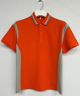 �Ї�ƽ�� �ļ��n���з��I����POLO���ٴ����ʽƴɫ���L���e�w