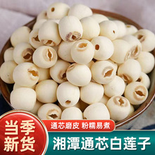 新货湘潭莲子干货特产级无芯百合组合干散装磨皮去心白莲子羹莲籽