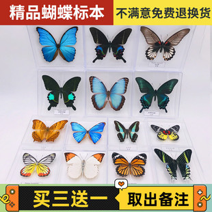 �����Ӻ����˱��[����������x�˱�չ��W���������նYƷ͸�����b
