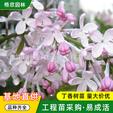 ���l������� �@���^�p�G��������ľ�������Ե��d�׶����϶��㻨