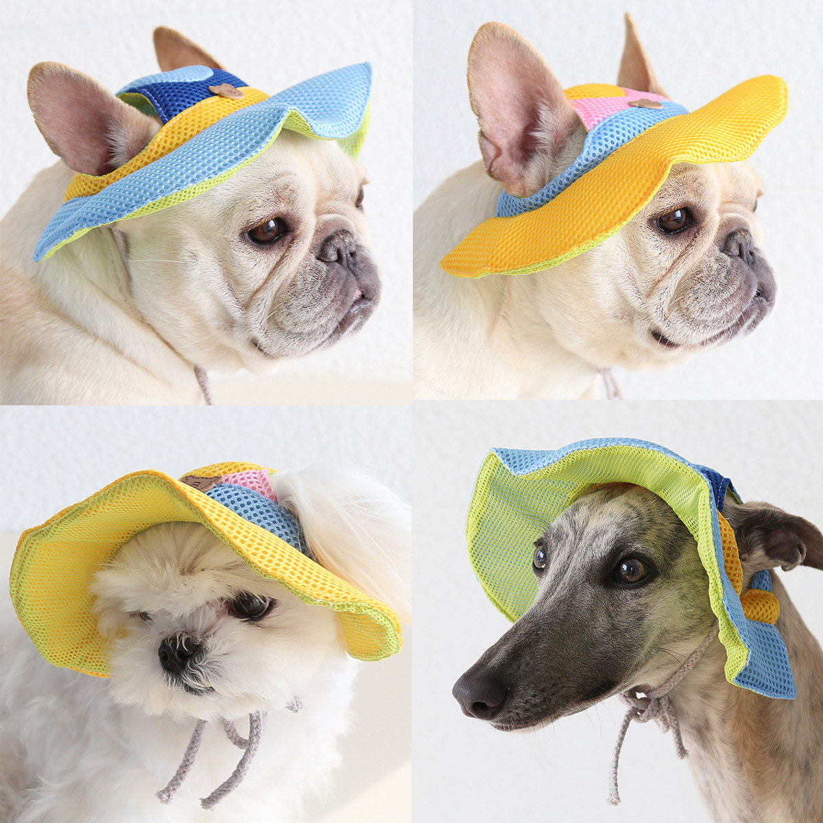 Petstyle 马卡龙拼色网眼帽 透气遮阳帽宠物猫狗狗帽子跨境亚马逊