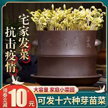 ��ѿ�r����ɰ��ѿ�������ðl��ѿ�C���������lѿ��������������l