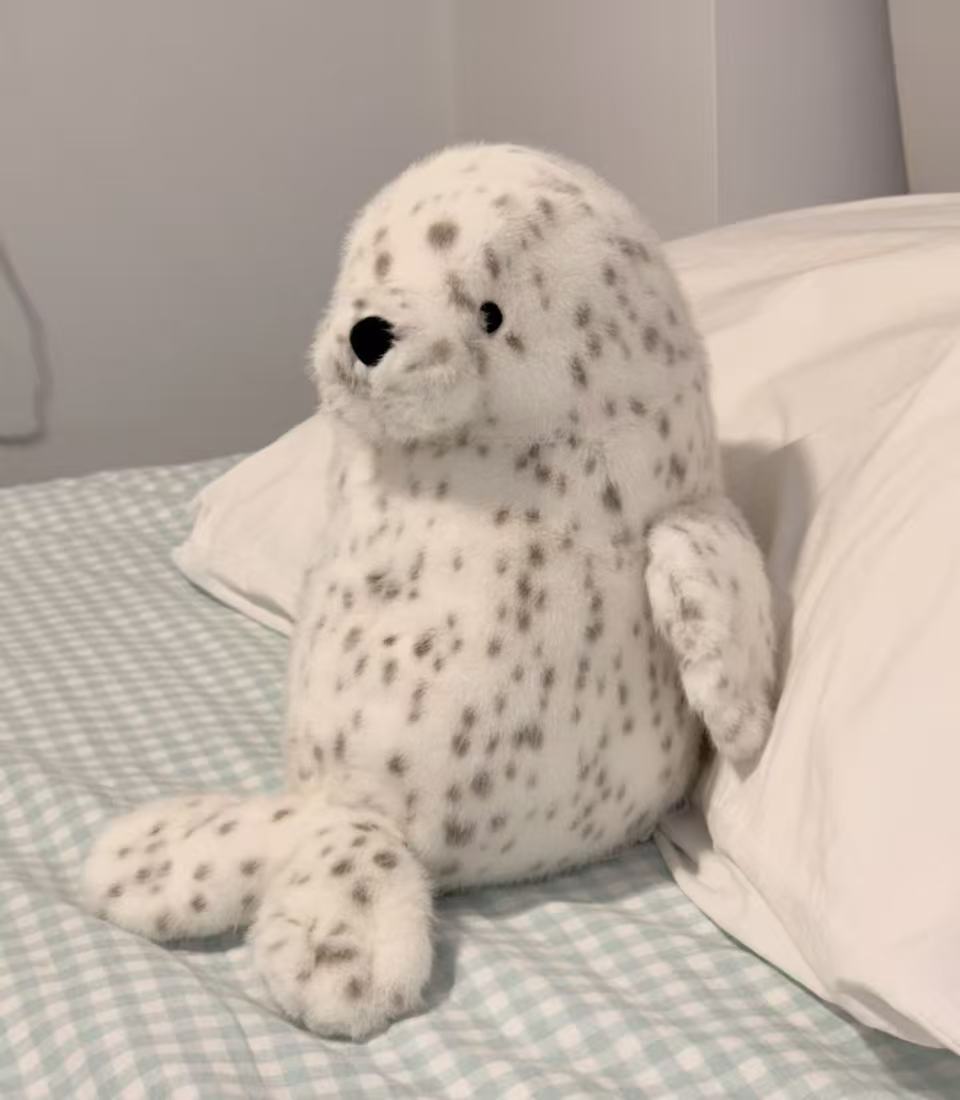 コレクション1;