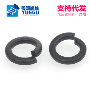 ��m3m4m5m6m8m10m12m14m16m18m20m22m24m27m30��8.8���l�ڏ��|Ȧ